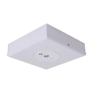 Evac Surface Mounted LED Emergency Light, 3.5W, 4500K, White by Domus Lighting, a Spotlights for sale on Style Sourcebook
