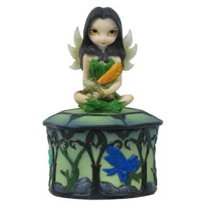 Jasmine Becket-Griffith's Strangeling Fairies Trinket Box, Guardian of the Woods by Veronese, a Decorative Boxes for sale on Style Sourcebook