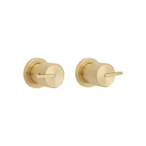 Namika Assembly Taps - Brushed Brass by ABI Interiors Pty Ltd, a Bathroom Taps & Mixers for sale on Style Sourcebook