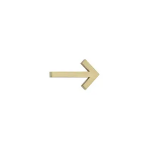 Arrow Sign - 60mm - Brushed Brass by ABI Interiors Pty Ltd, a Outdoor Accessories for sale on Style Sourcebook