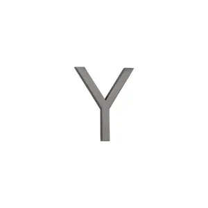 Y Letter - 60mm - Brushed Gunmetal by ABI Interiors Pty Ltd, a Outdoor Accessories for sale on Style Sourcebook