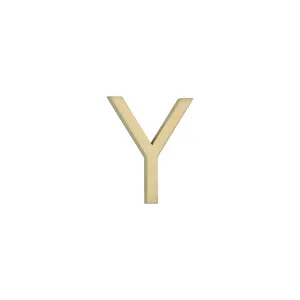 Y Letter - 60mm - Brushed Brass by ABI Interiors Pty Ltd, a Outdoor Accessories for sale on Style Sourcebook