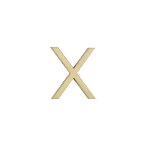 X Letter - 60mm - Brushed Brass by ABI Interiors Pty Ltd, a Outdoor Accessories for sale on Style Sourcebook