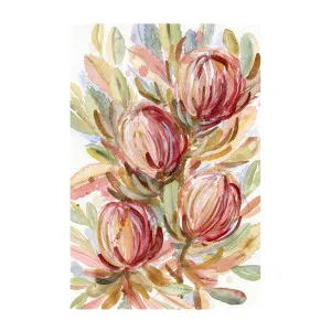 Banksia Bunch , By Jessie Mitchelson by Gioia Wall Art, a Prints for sale on Style Sourcebook