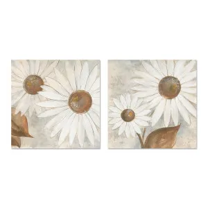 Daisy Do, Style A & B, Set Of 2 , By Chris Paschke by Gioia Wall Art, a Prints for sale on Style Sourcebook