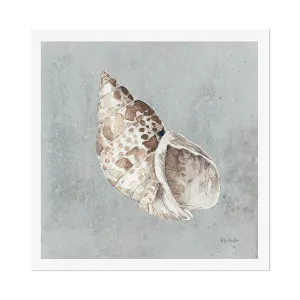 Sand And Seashells, Style B , By Lisa Audit by Gioia Wall Art, a Prints for sale on Style Sourcebook