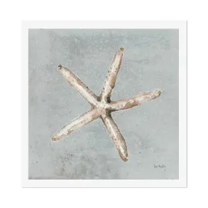 Sand And Seashells, Style C , By Lisa Audit by Gioia Wall Art, a Prints for sale on Style Sourcebook