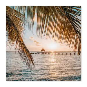 Sunset Palms, Polynesia , By Jan Becke by Gioia Wall Art, a Prints for sale on Style Sourcebook