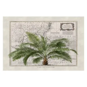 Tropical Empire, By Andrea Haase by Gioia Wall Art, a Prints for sale on Style Sourcebook