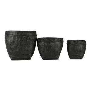 Paume 3 Piece Rattan Planter Holder Set, Black by Florabelle, a Plant Holders for sale on Style Sourcebook