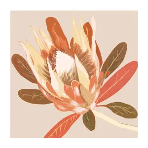 Augusta Autumnal Protea , By Stacey Williams by Gioia Wall Art, a Prints for sale on Style Sourcebook