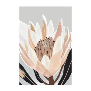 Cream Silver Protea , By Stacey Williams by Gioia Wall Art, a Prints for sale on Style Sourcebook