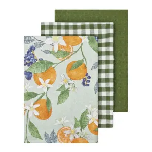 J.Elliot Orange Seafoam Multi Tea Towel 3 Pack by null, a Tea Towels for sale on Style Sourcebook