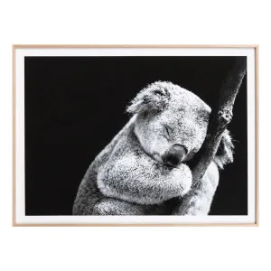 Sleepy Koala Framed Print in 62 x 44cm by OzDesignFurniture, a Prints for sale on Style Sourcebook