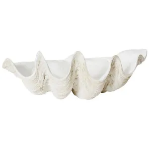 Elme Clam Shell Sculpture, Large by Elme Living, a Statues & Ornaments for sale on Style Sourcebook