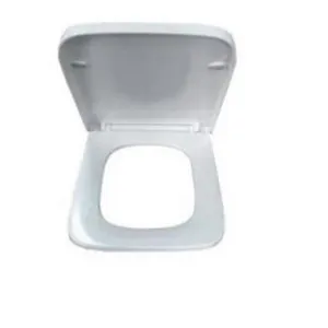 Toilet Seat Suit Munich Back-To-Wall Toilet Suite | Made From Stainless Steel/Nylon/Polymer In White By Oliveri by Oliveri, a Toilets & Bidets for sale on Style Sourcebook