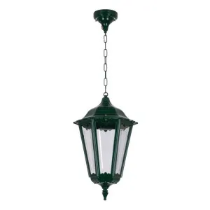 Chester Italian Made IP43 Indoor / Outdoor Pendant Light, Large, Green by Domus Lighting, a Pendant Lighting for sale on Style Sourcebook