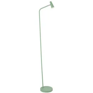 Bexley Iron Dimmable LED Touch Floor Lamp, Green by Telbix, a Floor Lamps for sale on Style Sourcebook