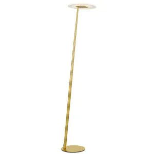 Faro Iron Dimmable LED Floor Lamp, CCT, Antique Gold by Telbix, a Floor Lamps for sale on Style Sourcebook