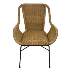 Palmview Rattan Carver Dining Chair by Diaz Design, a Dining Chairs for sale on Style Sourcebook