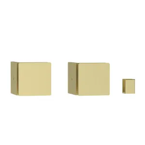 Misha Single Entry Shower Screen Fitting Kit Brushed Gold by Haus25, a Shower Screens & Enclosures for sale on Style Sourcebook
