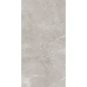 Ambience Artic Grey Matt Tile by Beaumont Max, a Marble Look Tiles for sale on Style Sourcebook