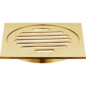 Haus 25 Grate Sq 110x110x100mm Brushed Gold by Haus25, a Shower Grates & Drains for sale on Style Sourcebook