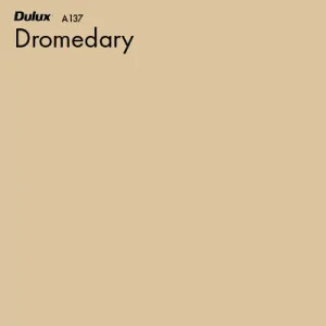 Dromedary by Dulux, a Oranges for sale on Style Sourcebook