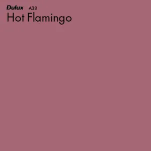 Hot Flamingo by Dulux, a Reds for sale on Style Sourcebook