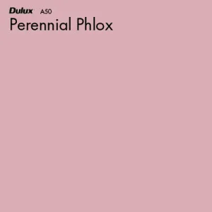 Perennial Phlox by Dulux, a Reds for sale on Style Sourcebook