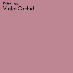 Violet Orchid by Dulux, a Reds for sale on Style Sourcebook