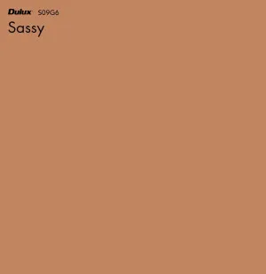 Sassy by Dulux, a Oranges for sale on Style Sourcebook