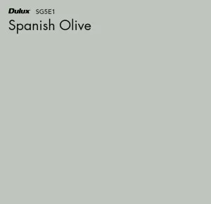 Spanish Olive by Dulux, a Blues for sale on Style Sourcebook