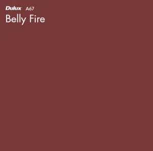 Belly Fire by Dulux, a Reds for sale on Style Sourcebook
