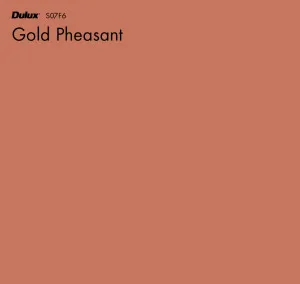Gold Pheasant by Dulux, a Oranges for sale on Style Sourcebook