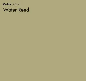 Water Reed by Dulux, a Greens for sale on Style Sourcebook