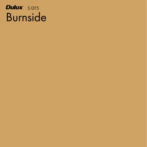 Burnside by Dulux, a Yellows for sale on Style Sourcebook