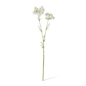 Queen Anne Lace Spray - 15 x 8 x 67cm by Elme Living, a Plants for sale on Style Sourcebook