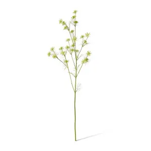 Queen Anne Lace Wild Spray - 33 x 28 x 76cm by Elme Living, a Plants for sale on Style Sourcebook