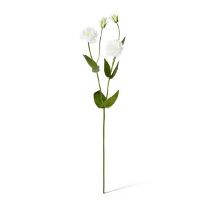 Lisianthus Spray - 30 x 15 x 67cm by Elme Living, a Plants for sale on Style Sourcebook