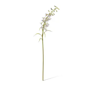 Delphinium Mini Stem - 28 x 14 x 70cm by Elme Living, a Plants for sale on Style Sourcebook