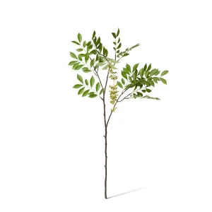 Simarouba Seeding Branch - 52 x 43 x 99cm by Elme Living, a Plants for sale on Style Sourcebook