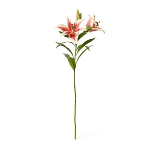 Lily Tiger Spray - 40 x 34 x 95cm by Elme Living, a Plants for sale on Style Sourcebook