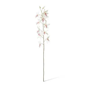 Orchid Oncidium Stem - 50 x 20 x 109cm by Elme Living, a Plants for sale on Style Sourcebook