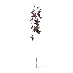 Orchid Oncidium Stem - 50 x 20 x 109cm by Elme Living, a Plants for sale on Style Sourcebook