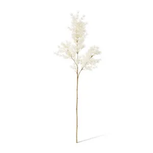 Asparagus Leaf Spray - 18 x 8 x 74cm by Elme Living, a Plants for sale on Style Sourcebook