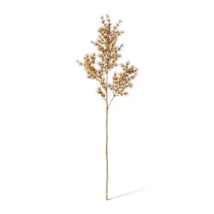 Asparagus Leaf Spray - 18 x 8 x 74cm by Elme Living, a Plants for sale on Style Sourcebook