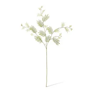 Mismosa Leaf Spray - 20 x 5 x 104cm by Elme Living, a Plants for sale on Style Sourcebook