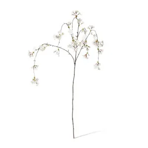 Blossom Cherry Hanging Spray - 18 x 5 x 119cm by Elme Living, a Plants for sale on Style Sourcebook