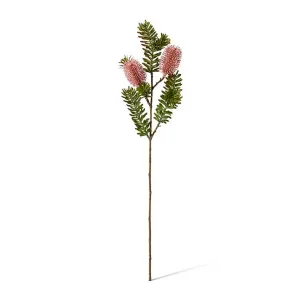 Banksia Spray - 20 x 9 x 66cm by Elme Living, a Plants for sale on Style Sourcebook